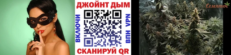 Где продают наркотики Бердск Кокаин Бошки Шишки Псилоцибиновые грибы Alpha PVP ГАШ Меф мяу мяу