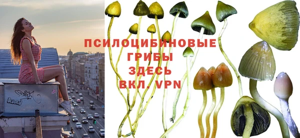 кокс Алексин