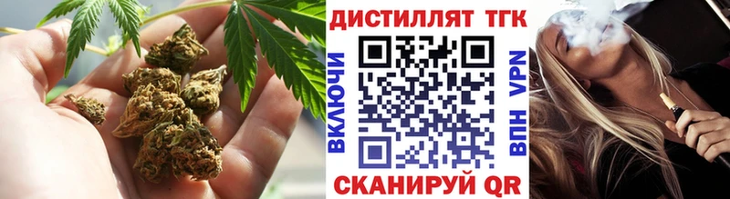 ТГК Wax  Бердск 