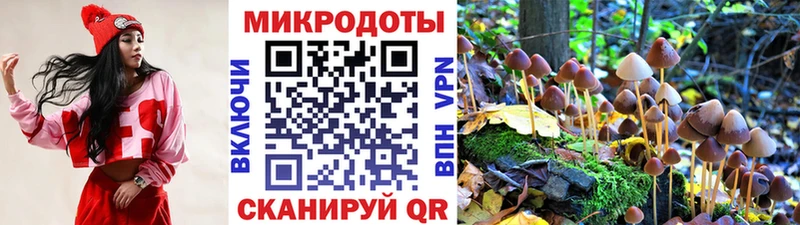 Псилоцибиновые грибы мицелий Бердск